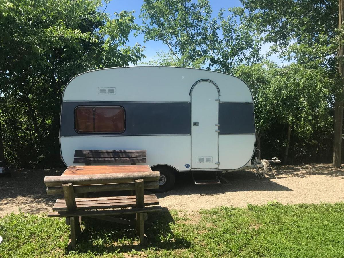 Camping Oaza 贝拉茨尔克瓦 外观 照片